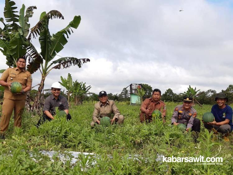 Kini, Dompet Koko Makin Tebal!