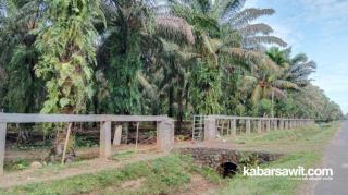 Oalah..., Kades Ini Diduga Bikin Pagar Kebun Sawit Orang Tuanya Dari Dana Desa