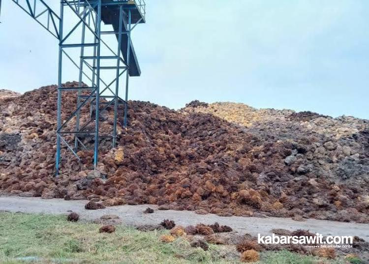 Nilai Tambah Cangkang dalam Penetapan Harga TBS tak Signifikan 