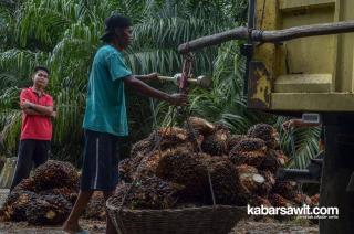 Indonesia Bikin Palm Co, Malaysia Bisa Ketar-ketir!