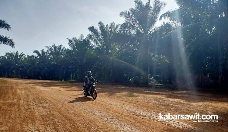 Bentar Lagi, Jalan Menuju Kebun Sawit di Daerah Ini Kinclong  