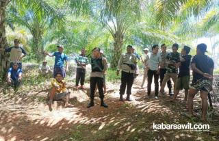 Gara-gara Dua Batang Sawit, Petani di Kaur Dilarikan ke Rumah Sakit