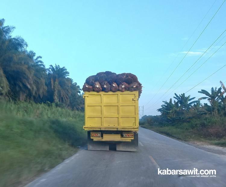 Harga CPO Tak Karuan, GAPKI Mulai Jejaki Pasar Baru