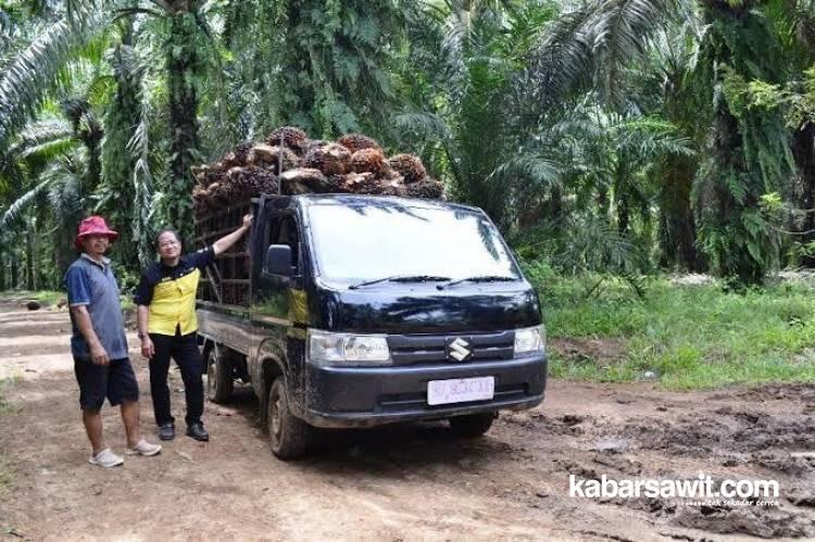 Di Bengkulu, Petani Sawit Bisa Beli Mobil Baru Dengan DP Rendah, Asal...