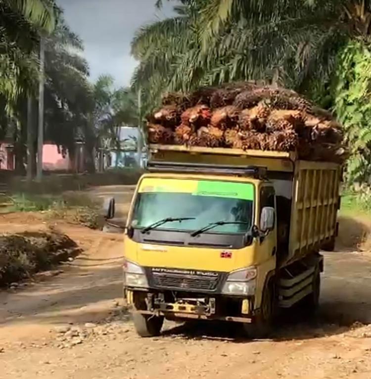 Sopir Keluhkan Jalan Menuju Kebun Sawit Banyak Rusak, Begini Respon Bappeda Bengkulu Tengah 