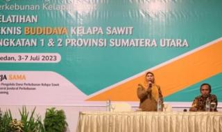 IPB Training Tatar Puluhan Petani Budidaya Sawit Sesuai GAP, Ini Targetnya