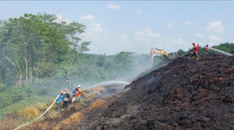 Tidak Hanya Kebun dan Ladang, Limbah Sawit pun Ikut Terbakar