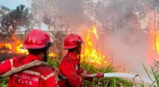 Petani di Pelalawan Dilatih Cara Menghadapi Karhutla Oleh Perusahaan ini