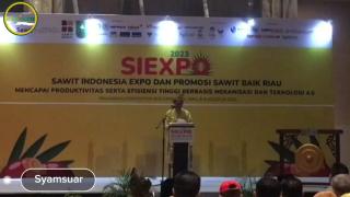 Pameran Sawit Indonesia Expo dan Promosi Sawit Baik Riau 2023