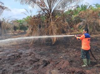 Metode dan Peralatan ini Mampu Padamkan Karhutla di Inhu