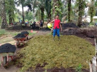 Pupuk Organik Antisipasi Cuaca Ekstrem El-Nino. Ini Yang Sudah Dilakukan