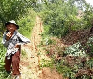 Sudah 15 Tahun Pemkab Bengkulu ‘Tutup Mata’ dengan Akses Petani Sawit ini