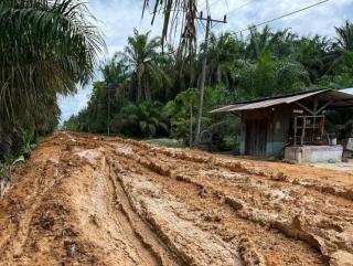 Harga Sawit Aceh Timur Naik, tapi Habis untuk Biaya Angkutan