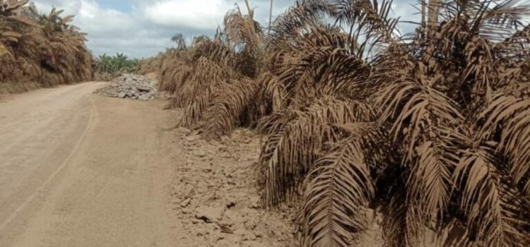 Puluhan Petani Dapat Pupuk Imbas Kebun Sawit Tertutup Debu Jalan