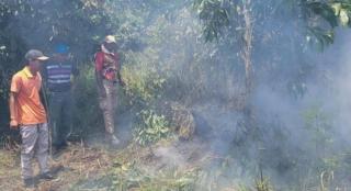 Curah Hujan Tinggi Tapi Bengkulu Diselimuti Kabut Asap