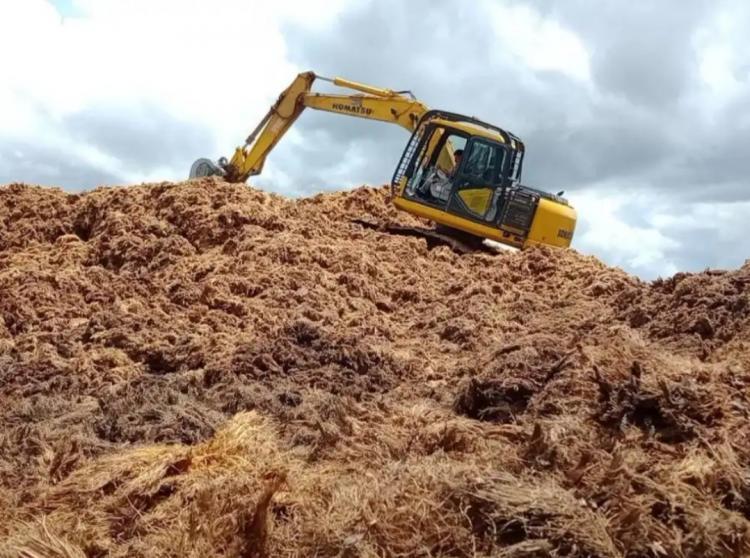 Limbah Sawit Jadi Alternatif Bahan Bakar PLTU