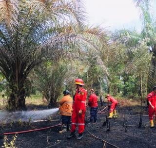 Kebun Sawit Terus Terbakar, Damkar Mukomuko Butuh Tambahan Anggaran