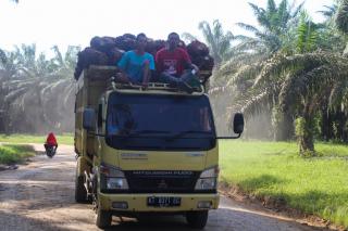 Perkembangan Mutakhir Industri Sawit Indonesia: Sawit Secara Nyata Memajukan Pedesaan