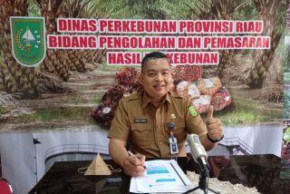 Harga Sawit Plasma Riau Naik 1,79 Persen