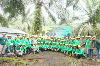 Puluhan Petani Samade Pelajari Pengelolaan Sawit di Lahan Gambut