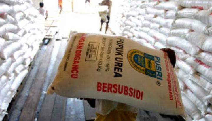 Petani Diminta Tak Sia-siakan Harga Pupuk Sawit yang Sedang Turun