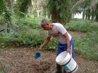 KLHK Dianggap Tak Berpihak ke Petani Sawit