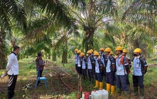 15 Mahasiswa Bengkulu Dikirim untuk Belajar Kelapa Sawit