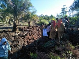 Sektor Perkebunan Penyumbang Penyaluran KUR Terbanyak di Riau Tahun 2023