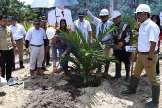 Penanaman Perdana Kebun Plasma dari PT ATA