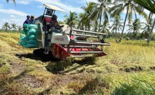 Nilai Tukar Petani Februari Sentuh Angka 120,97