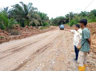 Ada 692 Ribu Hektar Kebun Sawit Milik Perusahaan Tersertifikasi ISPO di Riau