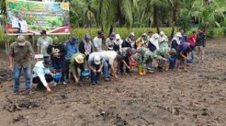 Kementan Percepat Penanaman Padi Gogo Tumpang Sisi di Kebun Sawit Kalteng