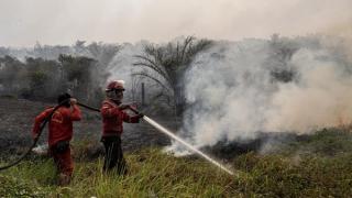 Hujan Membantu Tim Gabungan Padamkan Karhutla di Kebun Sawit