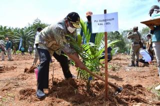 Apkasindo Sambut Positif Penyederhanaan Persyaratan Program Peremajaan Sawit Rakyat