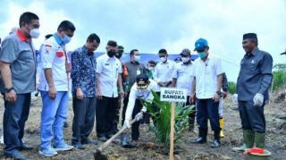 Dinas Pangan dan Pertanian Kabupaten Bangka Gelar FGD Rencana Aksi Daerah Kelapa Sawit Berkelanjutan 202